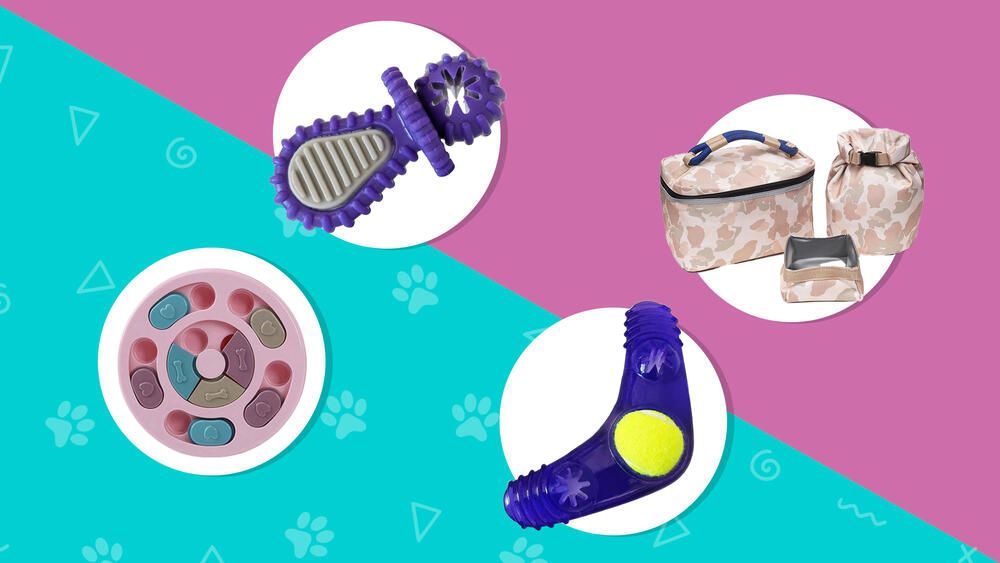 consiente_a_tus_mascotas_con_estos_increibles_regalos_al_mejor_precio.jpg