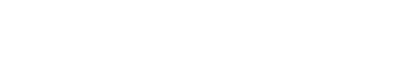 Bravo 2025 Logo.png