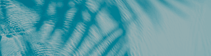 Homepage Banner - Mobile - Backgorund LI.png