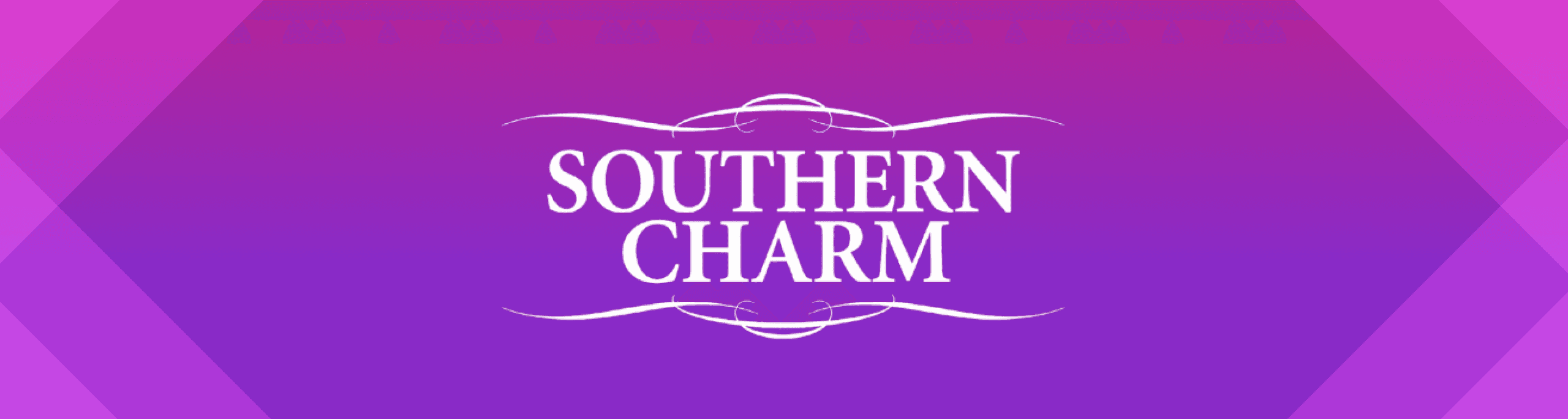 Shop Southern Charm Logo on magenta gradient background header