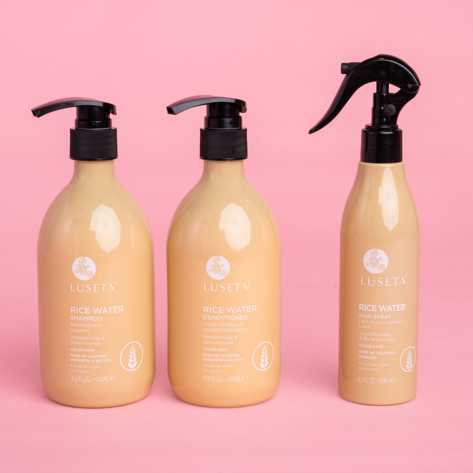 Holiday Sleigh- Alt 3.jpg